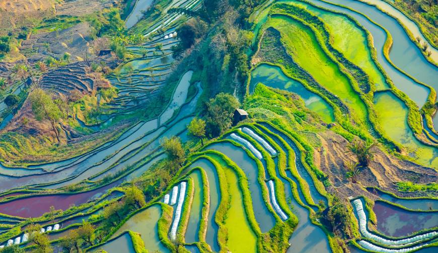 宝妈必备神器：彭山县产品视频拍摄轻松育儿好帮手