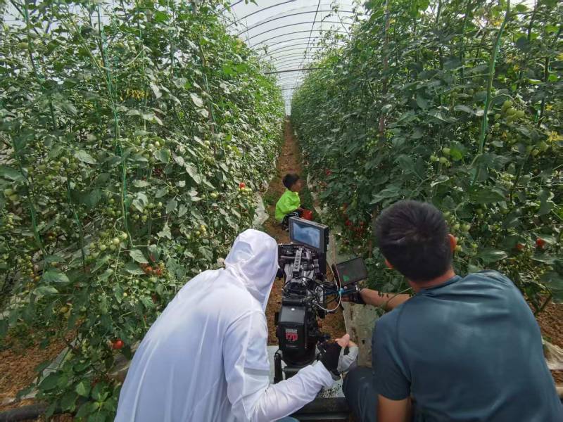 彭山县产品宣传视频拍摄公司进阶指南，助力品牌抢占传播高地